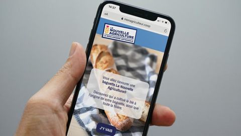 La nouvelle appli web lancée par Terrena Meunerie pour tracer le parcours d’une baguette jusqu’au producteur de blé.